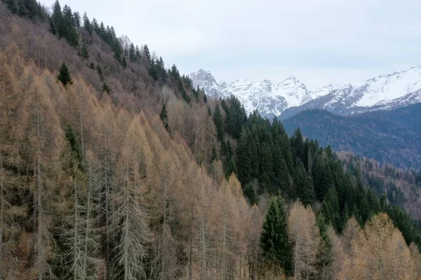Schneebedeckte Berggipfel in den Alpen im Winter — Stockfoto