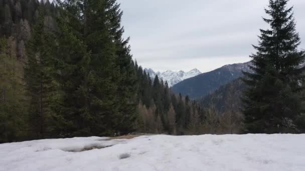 Picos de montaña cubiertos de nieve aérea en los Alpes en invierno — Vídeo de stock