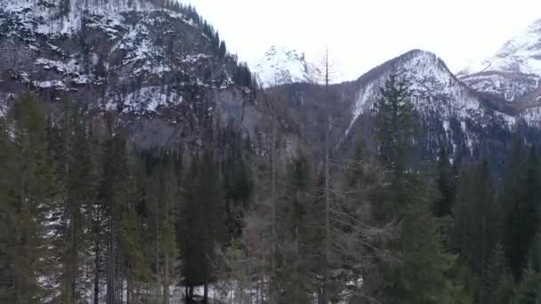 Flygande snötäckta bergstoppar i alperna på vintern — Stockvideo