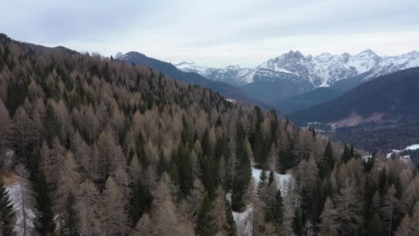 Flygande snötäckta bergstoppar i alperna på vintern — Stockvideo