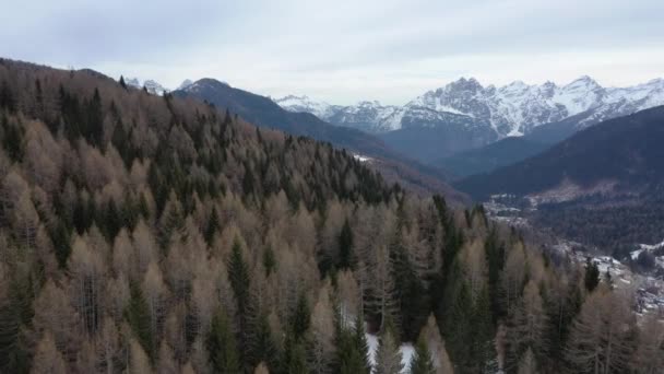 Flygande snötäckta bergstoppar i alperna på vintern — Stockvideo