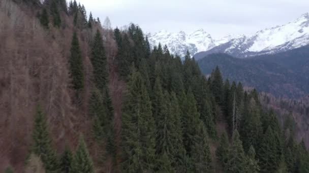 Śnieg powietrzny pokryte szczyty górskie w Alpach w zimie — Wideo stockowe