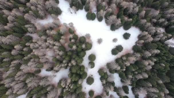 Picos de montaña cubiertos de nieve aérea en los Alpes en invierno — Vídeo de stock