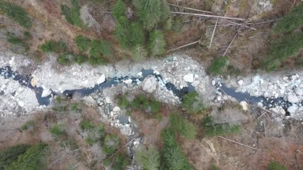Fiume alpino torrente fresco acqua pulita vista dall'alto — Video Stock