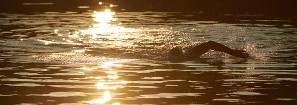 Атлет триатлон плавает на озере на восходе солнца в гидрокостюме — стоковое фото