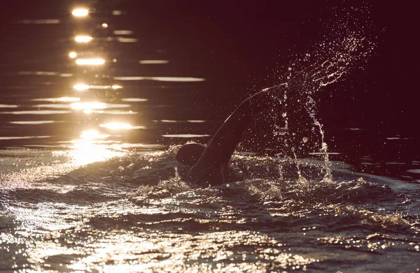 Atleta de triatlón nadando en el lago al amanecer usando traje de neopreno — Foto de Stock