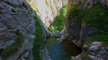 Bereketli yeşil ağaçlar ve ormanlarla çevrili kayalık bir uçurumdan şelalenin havadan çekilmiş videosu güneşli bir yaz gününde FPV insansız hava aracıyla ağır çekimde çekildi..