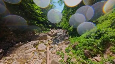 Bereketli yeşil ağaçlar ve ormanlarla çevrili kayalık bir uçurumdan şelalenin havadan çekilmiş videosu güneşli bir yaz gününde FPV insansız hava aracıyla ağır çekimde çekildi..