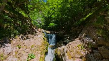 Bereketli yeşil ağaçlar ve ormanlarla çevrili kayalık bir uçurumdan şelalenin havadan çekilmiş videosu güneşli bir yaz gününde FPV insansız hava aracıyla ağır çekimde çekildi..