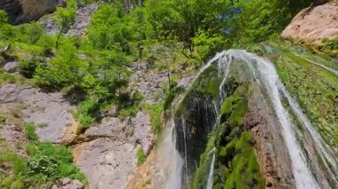 Bereketli yeşil ağaçlar ve ormanlarla çevrili kayalık bir uçurumdan şelalenin havadan çekilmiş videosu güneşli bir yaz gününde FPV insansız hava aracıyla ağır çekimde çekildi..
