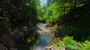 Bereketli yeşil ağaçlar ve ormanlarla çevrili kayalık bir uçurumdan şelalenin havadan çekilmiş videosu güneşli bir yaz gününde FPV insansız hava aracıyla ağır çekimde çekildi..