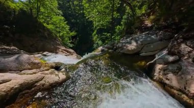 Bereketli yeşil ağaçlar ve ormanlarla çevrili kayalık bir uçurumdan şelalenin havadan çekilmiş videosu güneşli bir yaz gününde FPV insansız hava aracıyla ağır çekimde çekildi..