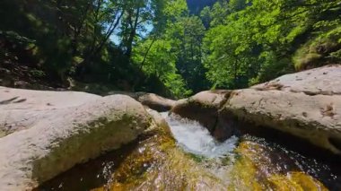 Bereketli yeşil ağaçlar ve ormanlarla çevrili kayalık bir uçurumdan şelalenin havadan çekilmiş videosu güneşli bir yaz gününde FPV insansız hava aracıyla ağır çekimde çekildi..