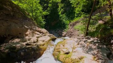 Bereketli yeşil ağaçlar ve ormanlarla çevrili kayalık bir uçurumdan şelalenin havadan çekilmiş videosu güneşli bir yaz gününde FPV insansız hava aracıyla ağır çekimde çekildi..