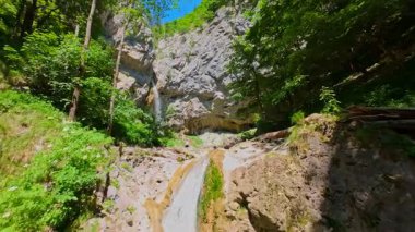 Bereketli yeşil ağaçlar ve ormanlarla çevrili kayalık bir uçurumdan şelalenin havadan çekilmiş videosu güneşli bir yaz gününde FPV insansız hava aracıyla ağır çekimde çekildi..