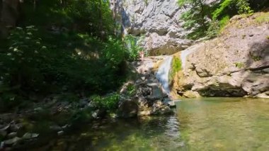 Bereketli yeşil ağaçlar ve ormanlarla çevrili kayalık bir uçurumdan şelalenin havadan çekilmiş videosu güneşli bir yaz gününde FPV insansız hava aracıyla ağır çekimde çekildi..