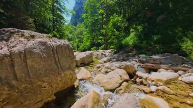 Bereketli yeşil ağaçlar ve ormanlarla çevrili kayalık bir uçurumdan şelalenin havadan çekilmiş videosu güneşli bir yaz gününde FPV insansız hava aracıyla ağır çekimde çekildi..