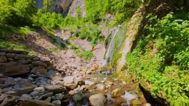 Bereketli yeşil ağaçlar ve ormanlarla çevrili kayalık bir uçurumdan şelalenin havadan çekilmiş videosu güneşli bir yaz gününde FPV insansız hava aracıyla ağır çekimde çekildi..