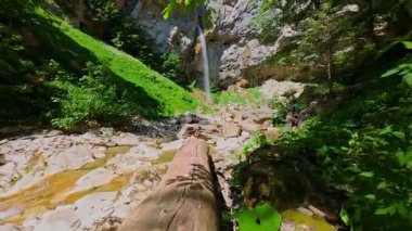 Bereketli yeşil ağaçlar ve ormanlarla çevrili kayalık bir uçurumdan şelalenin havadan çekilmiş videosu güneşli bir yaz gününde FPV insansız hava aracıyla ağır çekimde çekildi..