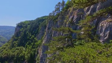 Bereketli yeşil ağaçlar ve ormanlarla çevrili kayalık bir uçurumdan şelalenin havadan çekilmiş videosu güneşli bir yaz gününde FPV insansız hava aracıyla ağır çekimde çekildi..