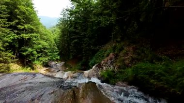Bereketli yeşil ormanlarda kayaların üzerinden akan güzel bir şelalenin havadan çekilmiş videosu, temiz su akıntısı olan manzaralı doğa manzarası, rahatlama ve macera için gidilecek yer. Sinematik ağır çekim