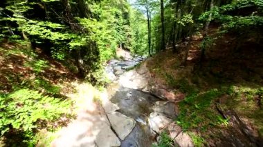 Bereketli yeşil ormanlarda kayaların üzerinden akan güzel bir şelalenin havadan çekilmiş videosu, temiz su akıntısı olan manzaralı doğa manzarası, rahatlama ve macera için gidilecek yer. Sinematik ağır çekim
