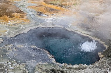 Yellowstone Ulusal Parkı, ABD 'de renkli sıcak su havuzu