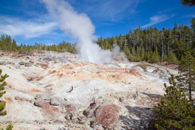 Norris gayzer havzası Yellowstone Ulusal Parkı, ABD