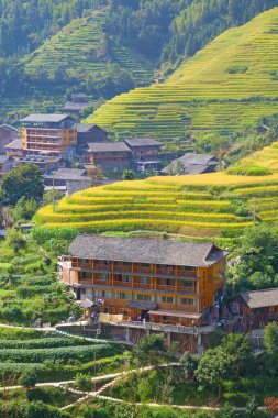 Longsheng Rice Terasları (Dragon 's Backbone) Çin' in Guilin şehrinden yaklaşık 100 km (62 mi) uzaklıkta, Longsheng County 'de bulunmaktadır.