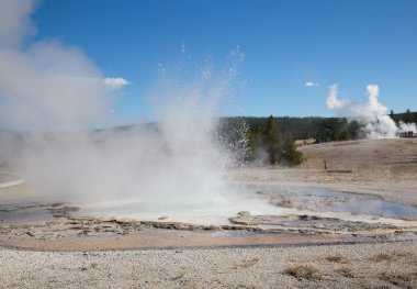 Yellowstone Ulusal Parkı 'ndaki kereste fabrikası patlaması, ABD
