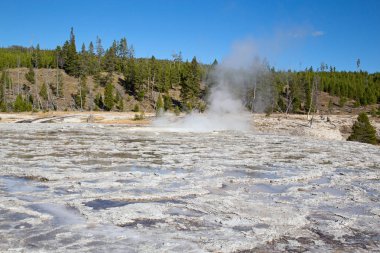 Yellowstone Ulusal Parkı, ABD 'de renkli sıcak su havuzu