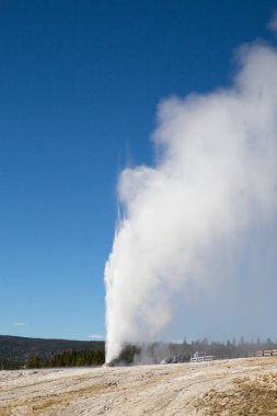 Yellowstone Ulusal Parkı 'nda koni gayzer patlaması