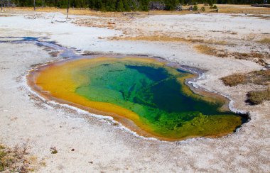 Yellowstone Ulusal Parkı 'ndaki kara kum gayzer havzası, ABD