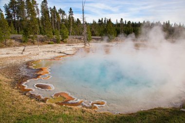 Yellowstone Ulusal Parkı 'ndaki düşük gayzer havzası, ABD