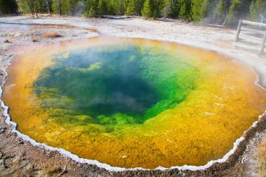 Zümrüt sıcak su havuzu Yellowstone Milli Parkı, ABD