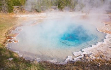 Yellowstone Ulusal Parkı 'ndaki düşük gayzer havzası, ABD