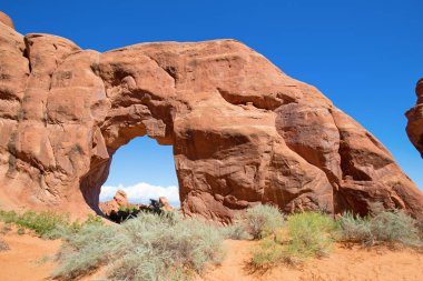 Ünlü çam ağacı arch Arches Ulusal Parkı, Utah, ABD