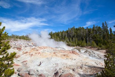 Norris gayzer havzası Yellowstone Ulusal Parkı, ABD