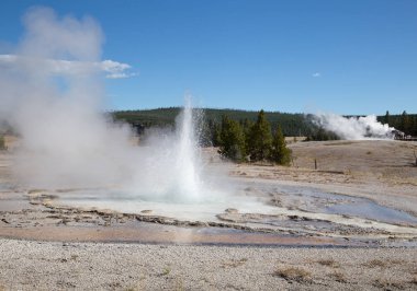 Yellowstone Ulusal Parkı 'nda gayzer patlaması, ABD
