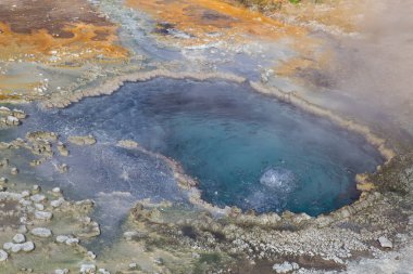 Yellowstone Ulusal Parkı, ABD 'de renkli sıcak su havuzu