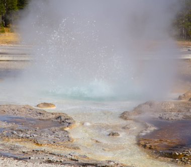 Yellowstone Ulusal Parkı 'ndaki kereste fabrikası patlaması, ABD