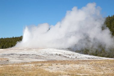 Yellowstone Ulusal Parkı 'nda gayzer patlaması, ABD