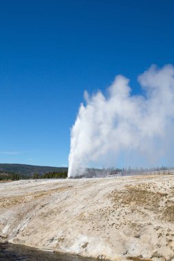 Yellowstone Ulusal Parkı 'nda koni gayzer patlaması