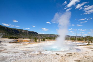 Yellowstone Ulusal Parkı 'ndaki kara kum gayzer havzası, ABD
