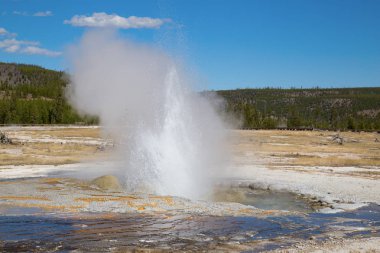 Yellowstone Ulusal Parkı 'ndaki kara kum gayzer havzası, ABD