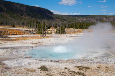 Yellowstone Ulusal Parkı 'ndaki kara kum gayzer havzası, ABD