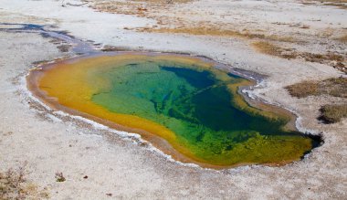 Yellowstone Ulusal Parkı 'ndaki kara kum gayzer havzası, ABD