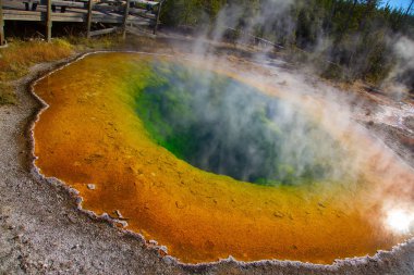 Yellowstone Ulusal Parkı, ABD 'de renkli sıcak su havuzu