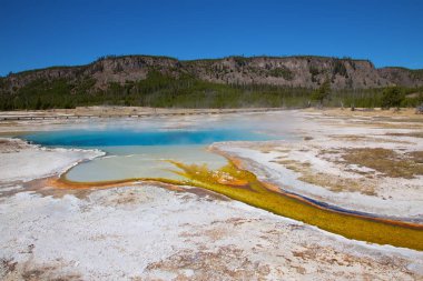 Yellowstone Ulusal Parkı, ABD 'de renkli sıcak su havuzu