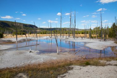 Yellowstone Ulusal Parkı 'ndaki kara kum gayzer havzası, ABD